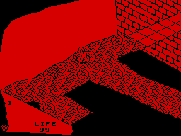 Room 8