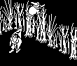 From the sky: a runner (80, 81)