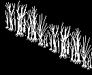 Scenery template 9