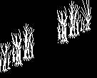 Scenery template 10