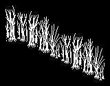 Scenery template 17