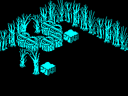 Room 46